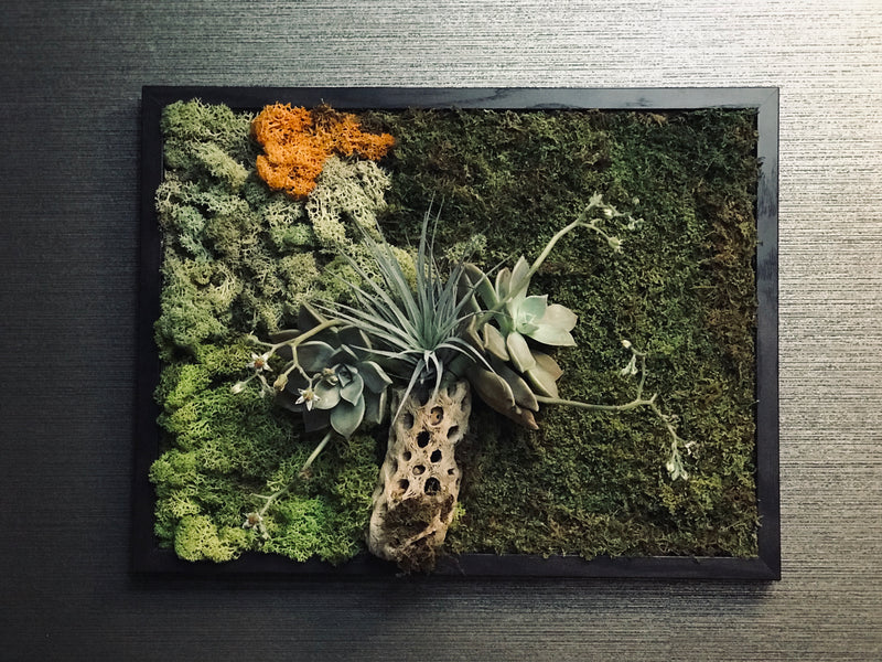 Reserved Moss Wall